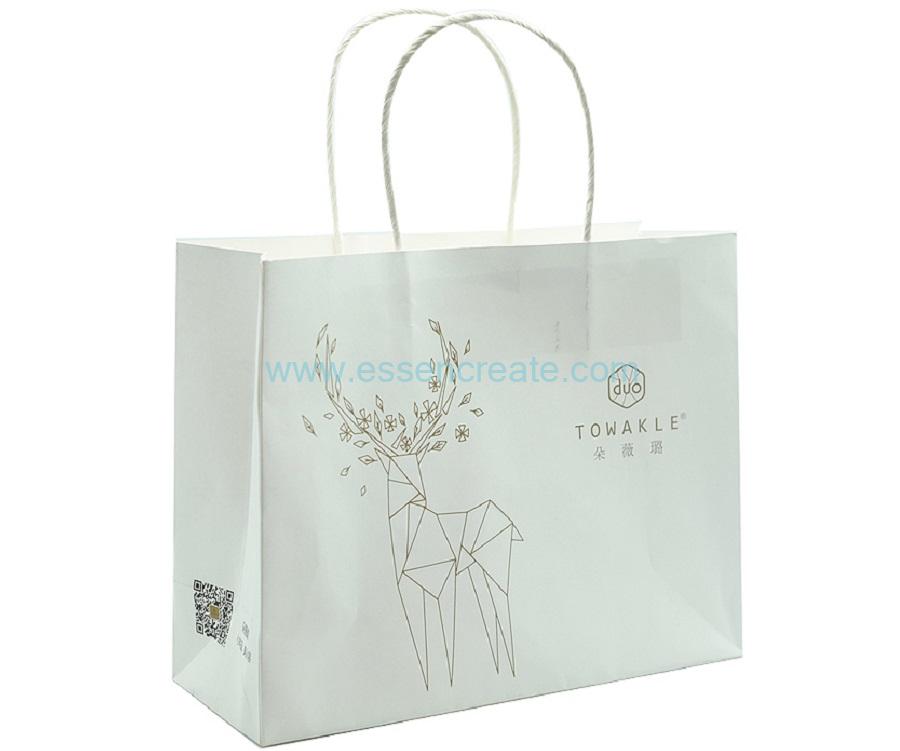 White Kraft Paper Gift Bags with Twisted Handle